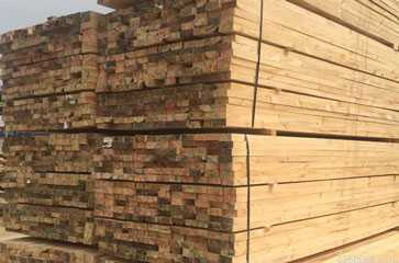 鐵杉方木木材加工廠
